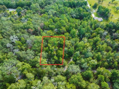 10187 HOLYOAK Terrace, Dunnellon, FL, 34433 — photo 2