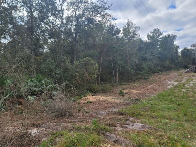 COOTER POND Road, Deland, FL, 32720 — photo 2