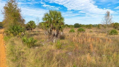 28432 EICHELBERGER Road, Tavares, FL, 32778 — photo 2