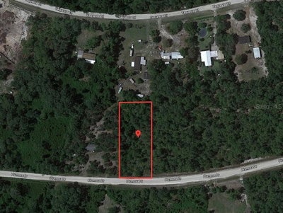 224 PLUMOSA Drive, Georgetown, FL, 32139 — photo 2
