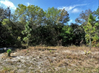 VANOVER Terrace, North Port, FL, 34288 — photo 2