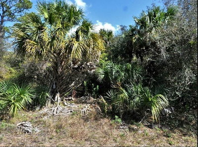 NORTON Drive, North Port, FL, 34288 — photo 2