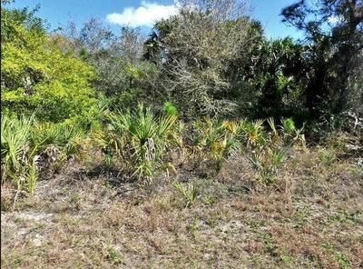 NORTON Drive, North Port, FL, 34288 — photo 2