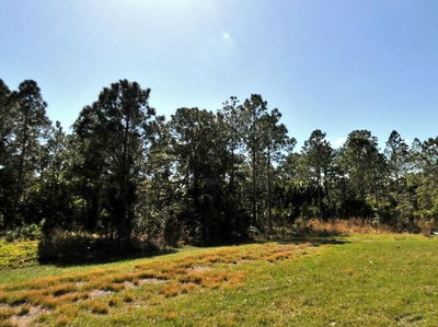 BROLLY Street, North Port, FL, 34288 — photo 2