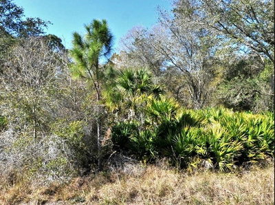NORTON Drive, North Port, FL, 34288 — photo 2