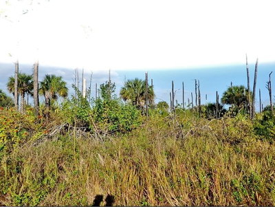 DEVONIA Circle, North Port, FL, 34288 — photo 2