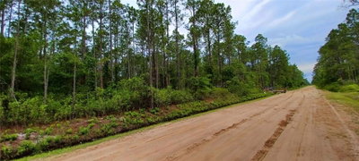 10695 ERICKSON Avenue, Hastings, FL, 32145 — photo 2