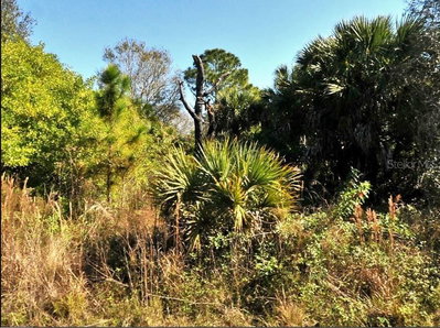 FIVELEAF Road, North Port, FL, 34288 — photo 2