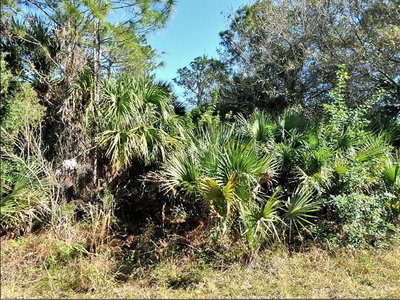 ANNATTO Street, North Port, FL, 34288 — photo 2