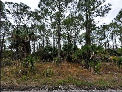 LANGLAIS Drive, North Port, FL, 34288 — photo 2