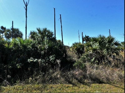 EWEN Circle, North Port, FL, 34288 — photo 2