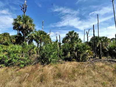 FARVIEW Drive, North Port, FL, 34288 — photo 2