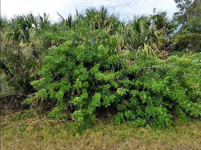 KAMAIN Road, North Port, FL, 34288 — photo 2
