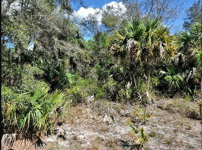 DUNMORE Street, North Port, FL, 34288 — photo 2