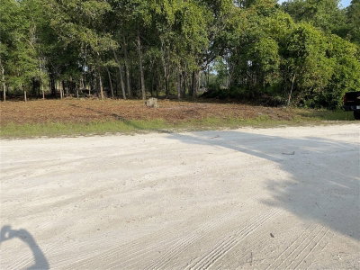 7123 GLENCHESTER Drive, Webster, FL, 33597 — photo 2
