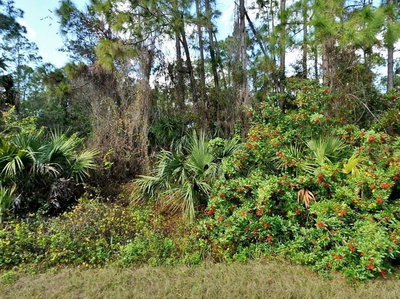 JUBILEE Circle, North Port, FL, 34288 — photo 2