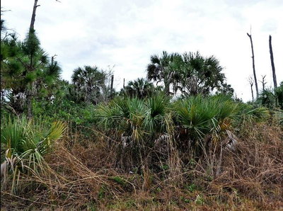 PIMENTO Circle, North Port, FL, 34288 — photo 2