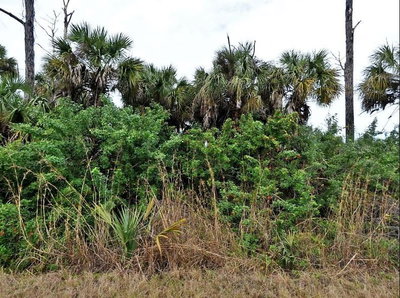 SILVERLEAF Road, North Port, FL, 34288 — photo 2