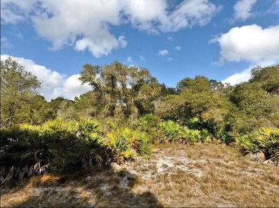 CODY Circle, North Port, FL, 34291 — photo 2