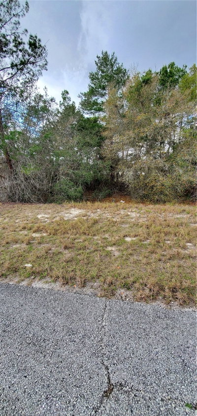 1428 HILLSBOROUGH Drive, Poinciana, FL, 34759 — photo 2