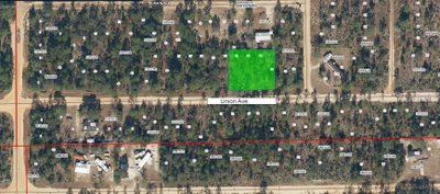 UNION Avenue, Interlachen, FL, 32148 — photo 2