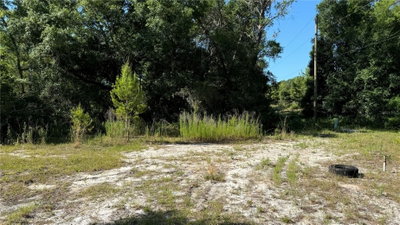 8045 307TH Avenue, Fort Mc Coy, FL, 32134 — photo 2