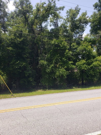 REYNOLDS Road, De Leon Springs, FL, 32130 — photo 2