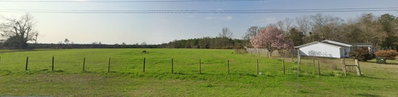 3800 HIGHWAY 99, Century, FL, 32535 — photo 2