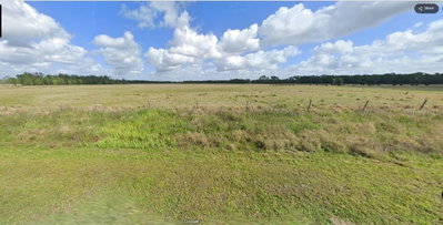 VAN FLEET Road, Polk City, FL, 33868 — photo 2