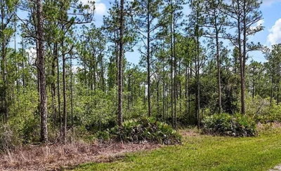 OLEANDER Drive, Indian Lake Estates, FL, 33855 — photo 2