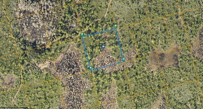 COUNTY LINE DITCH RD, Oak Hill, FL, 32759 — photo 2