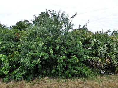 CERIMAN Road, North Port, FL, 34288 — photo 2