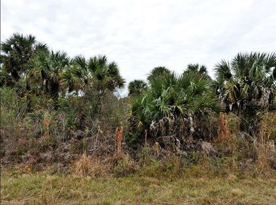E FIVELEAF DR,, North Port, FL, 34288 — photo 2