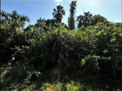 NEWMAN Drive, North Port, FL, 34288 — photo 2