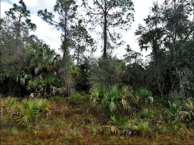IRONSIDE Street, North Port, FL, 34288 — photo 2