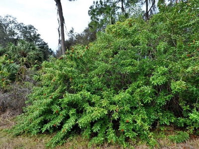 KAMAIN Road, North Port, FL, 34288 — photo 2