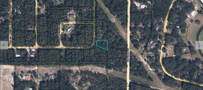 7231 LEHIGH Drive, Keystone Heights, FL, 32656 — photo 2