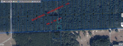 GAINESVILLE AVE, Newberry, FL, 32669 — photo 2