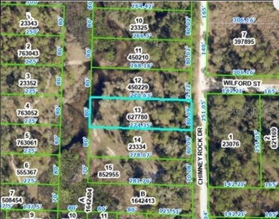 CHIMNEY ROCK Drive, Webster, FL, 33597 — photo 2