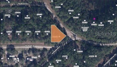SHIRLEY CIR,, Georgetown, FL, 32139 — photo 2