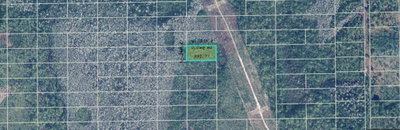 DILL Road, Orlando, FL, 32820 — photo 2