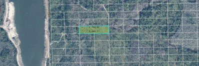 DILL Road, Orlando, FL, 32820 — photo 2