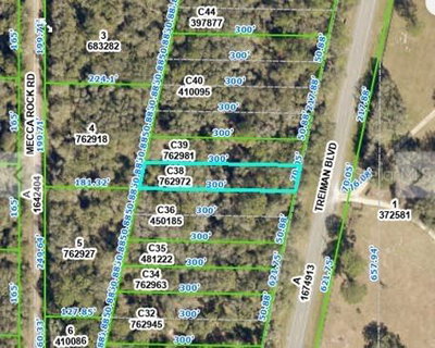 TREIMAN Boulevard, Webster, FL, 33597 — photo 2