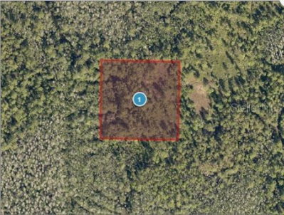 SALYERS Road, Clermont, FL, 34714 — photo 2