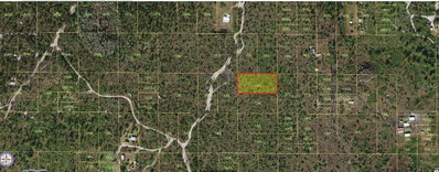 HOLOPAW GROVES Road, St Cloud, FL, 34773 — photo 2