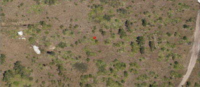 HOLOPAW GROVES Road, St Cloud, FL, 34773 — photo 2