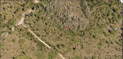 HOLOPAW GROVES Road, St Cloud, FL, 34773 — photo 2