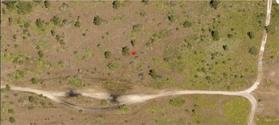 HOLOPAW GROVES Road, St Cloud, FL, 34773 — photo 2