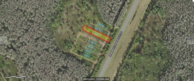 KENANSVILLE Road, Okeechobee, FL, 34972 — photo 2