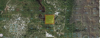 HOLOPAW GROVES Road, St Cloud, FL, 34773 — photo 2